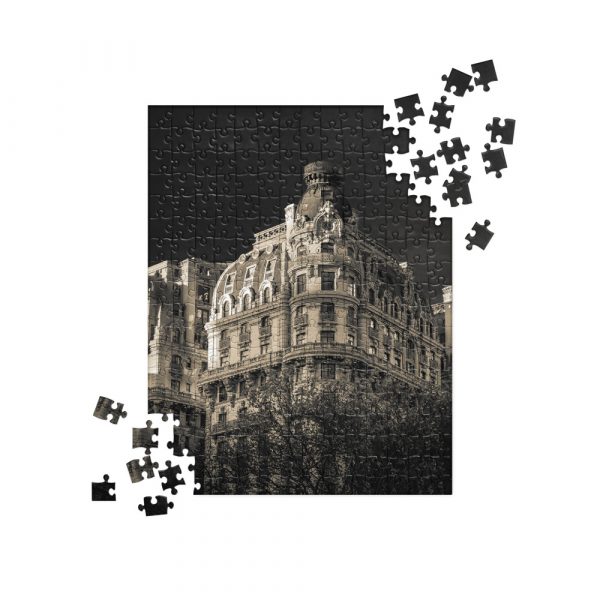Ansonia Jigsaw Puzzle